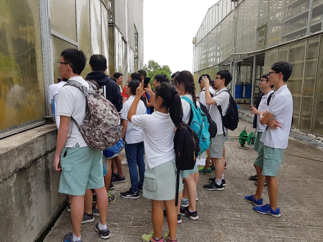 Learning Journeys to give exposure: Visiting Sky Greens
